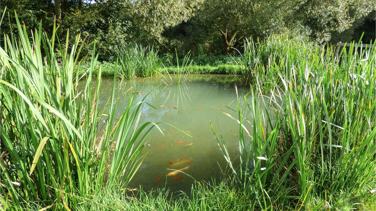 Photo of Outdoor in Schlatzendorf