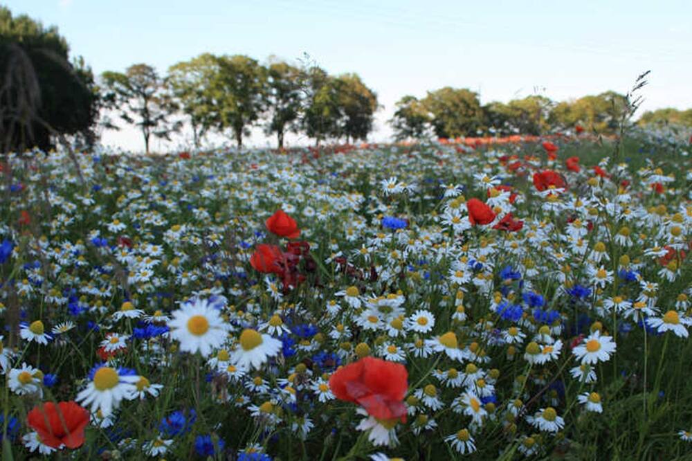Photo of Outdoor in Liepe