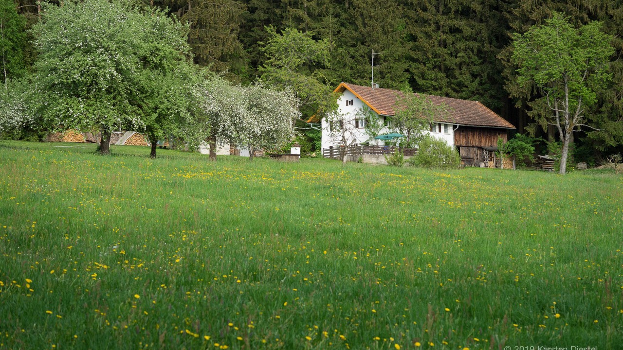 Photo of Outdoor in Regen