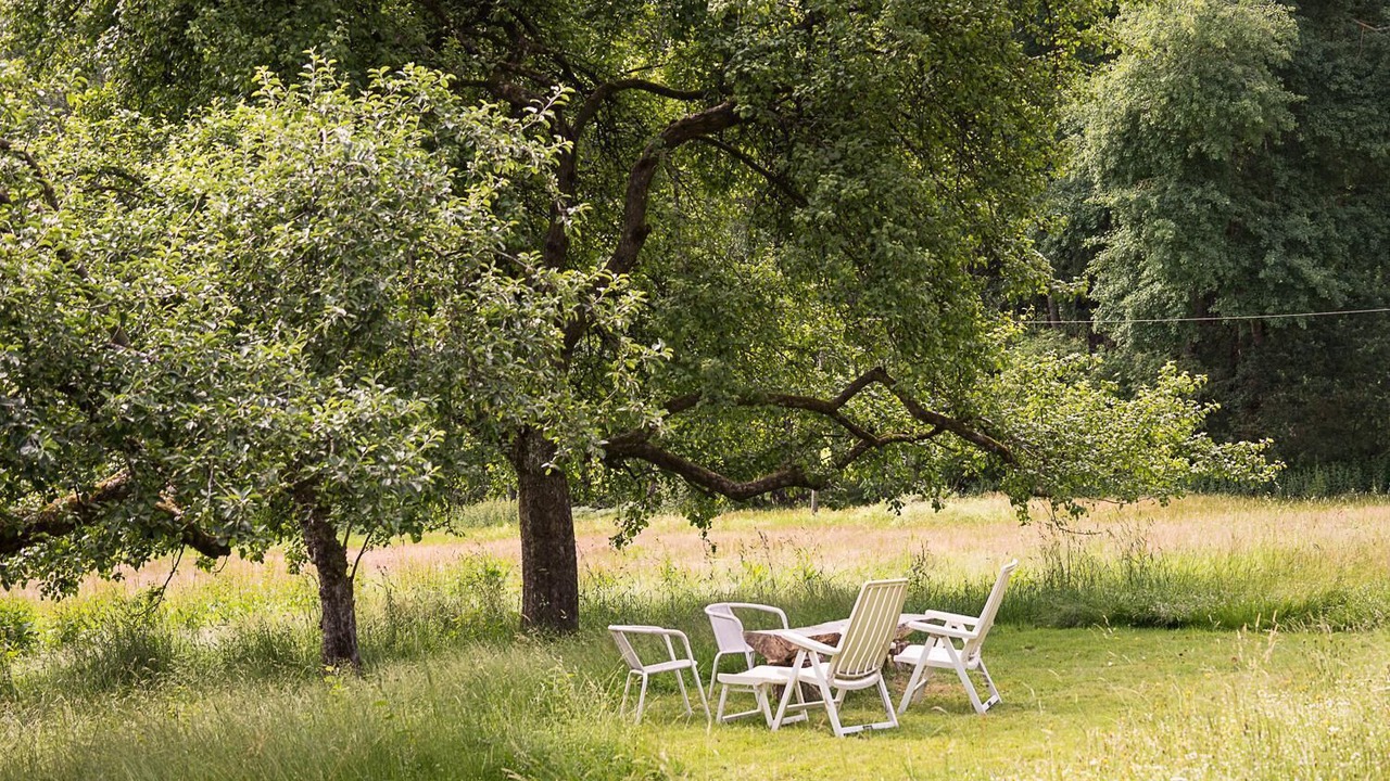Photo of Outdoor in Regen