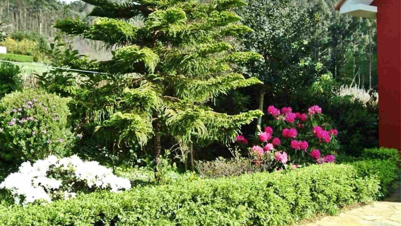 Photo of Outdoor in Cerdeira