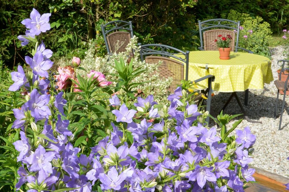 Photo of Outdoor in Schwob