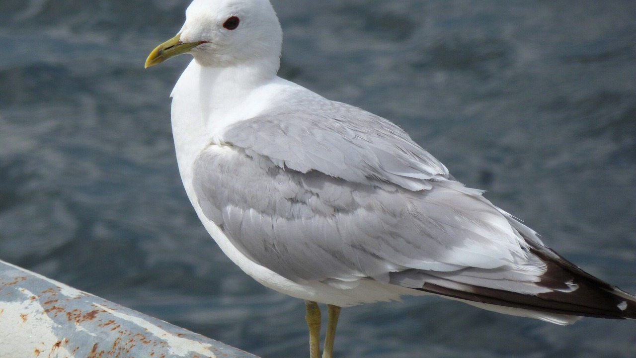 Photo of Others in Wismar