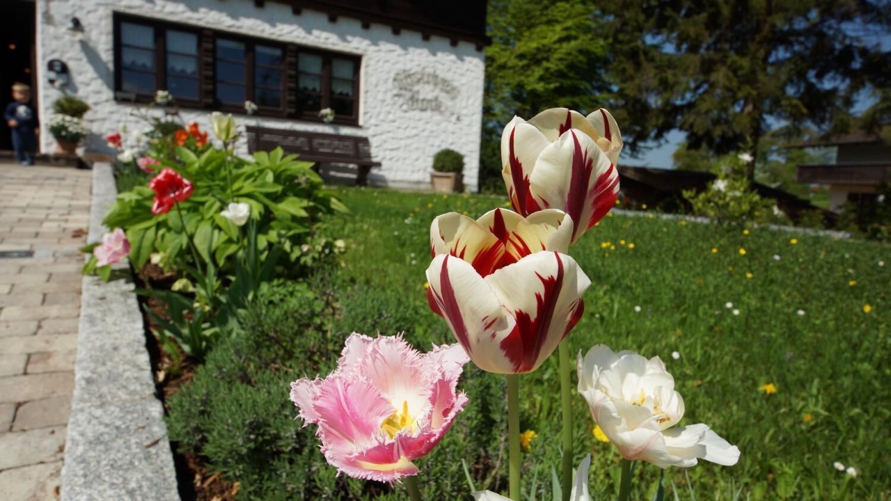 Photo of Outdoor in Bad Feilnbach