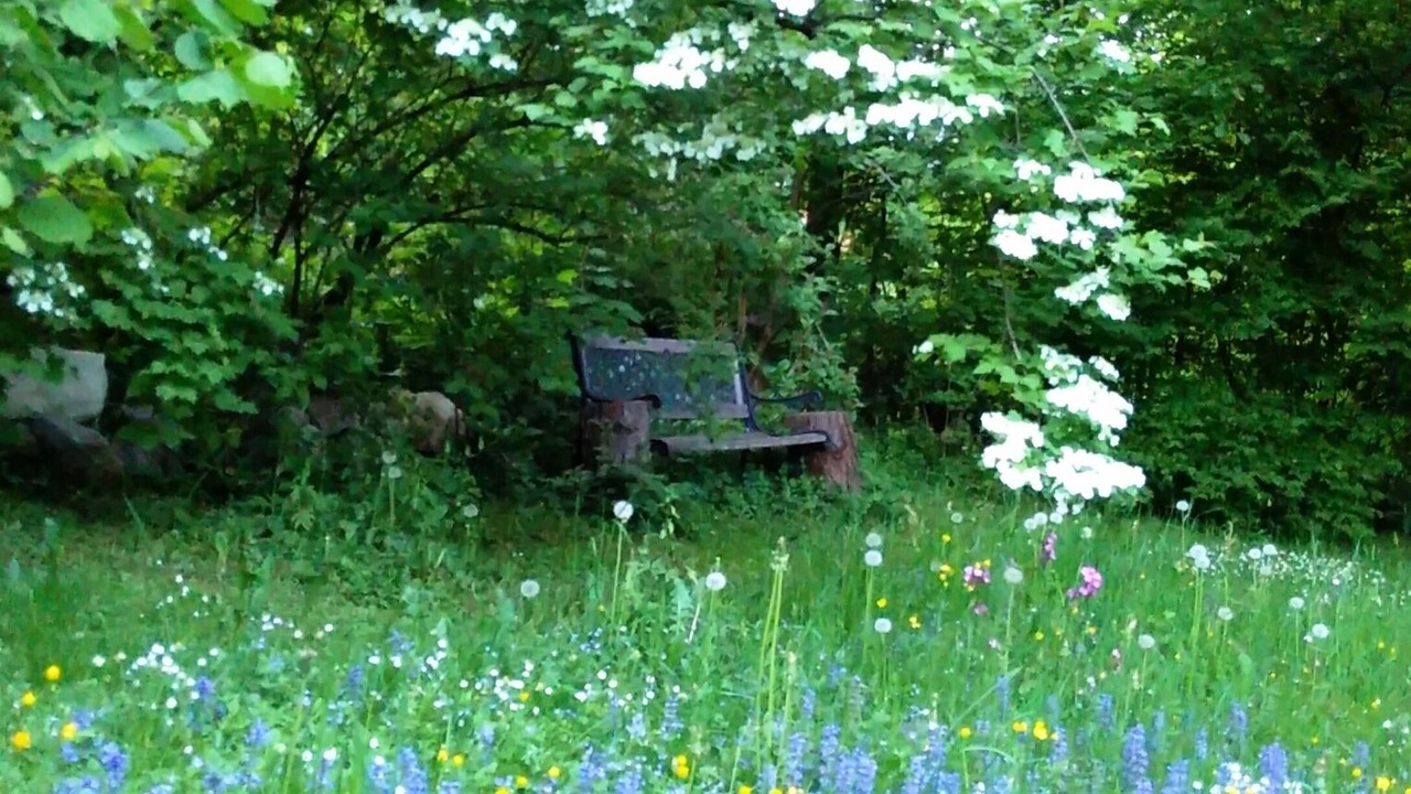 Photo of Outdoor in Marktschellenberg