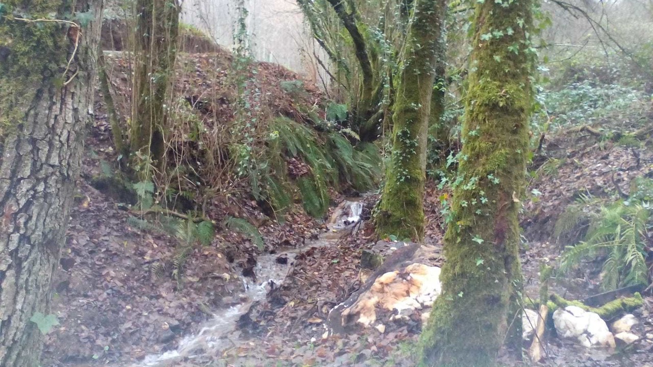 Photo of Outdoor in Bendoiro