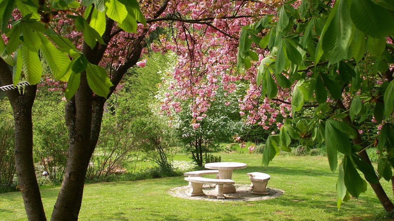 Photo of Outdoor in Mespelbrunn