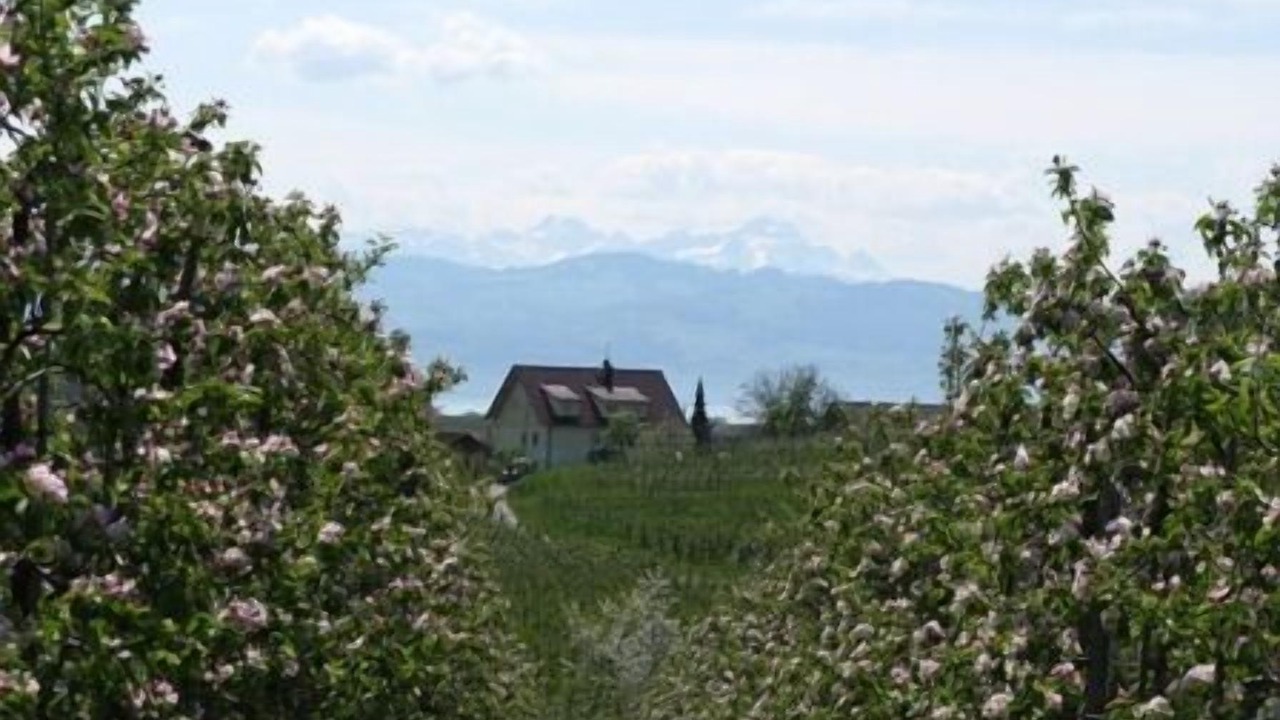 Photo of Outdoor in Wasserburg