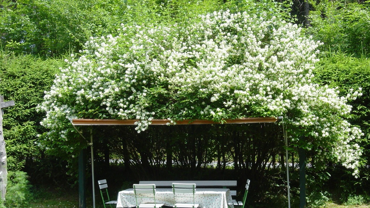 Photo of Outdoor in Fleckl