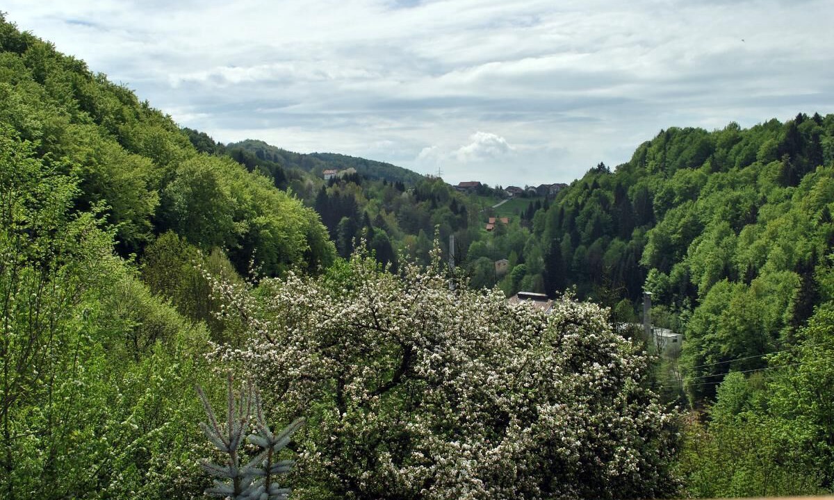 Photo of Others in Hohenau