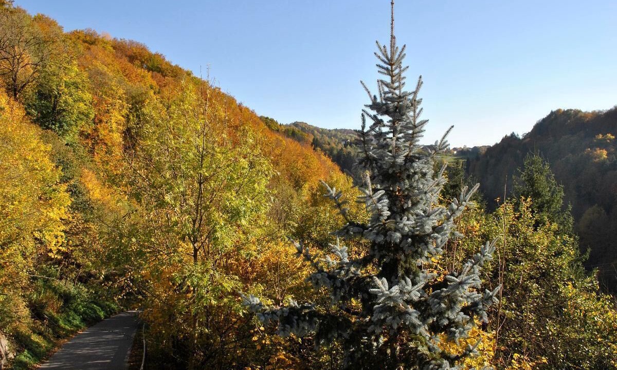 Photo of Outdoor in Hohenau