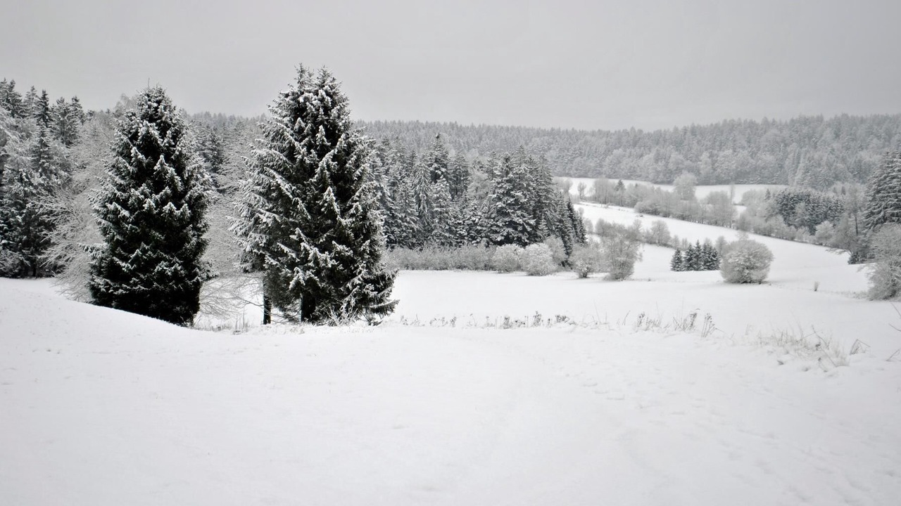 Photo of Outdoor in Hohenau