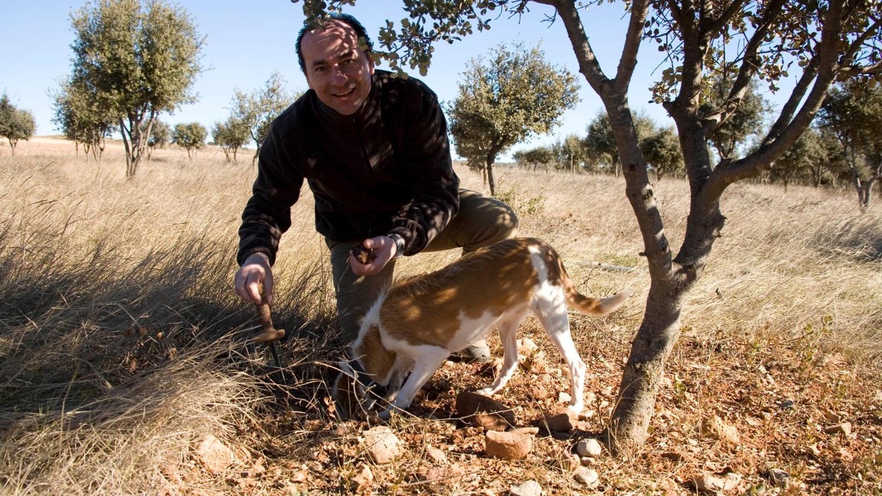 Photo of Outdoor in Rubielos de Mora