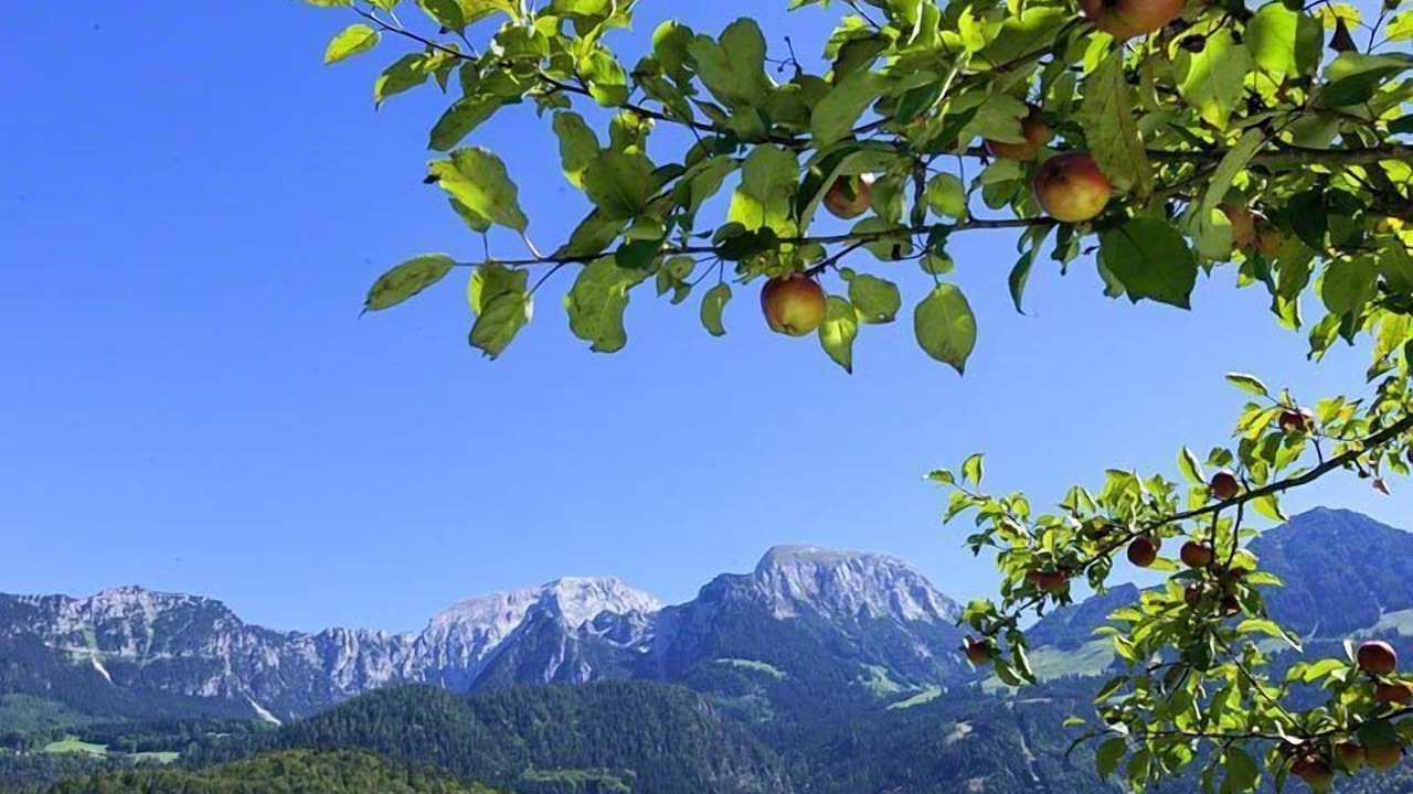 Photo of Outdoor in Schoenau am Koenigssee