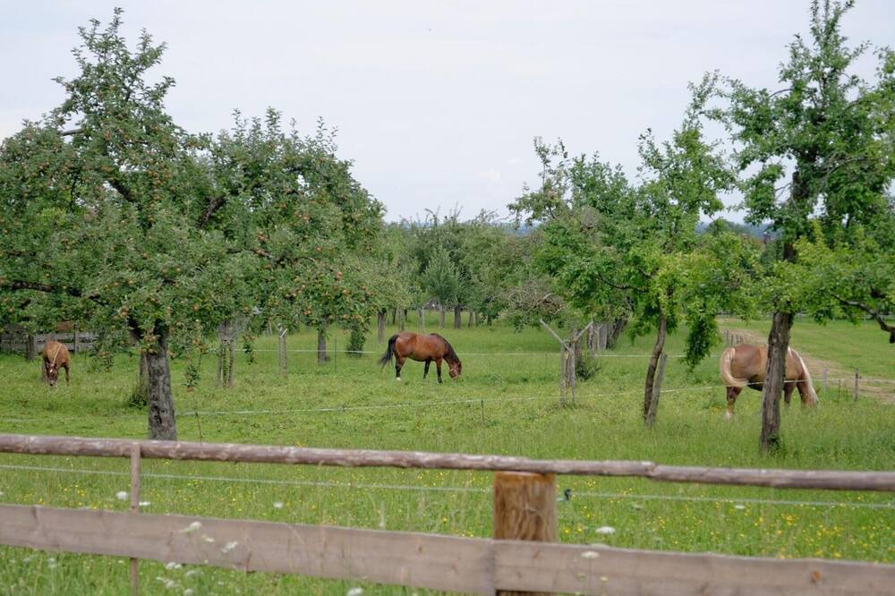 Photo of Outdoor in Bad Feilnbach