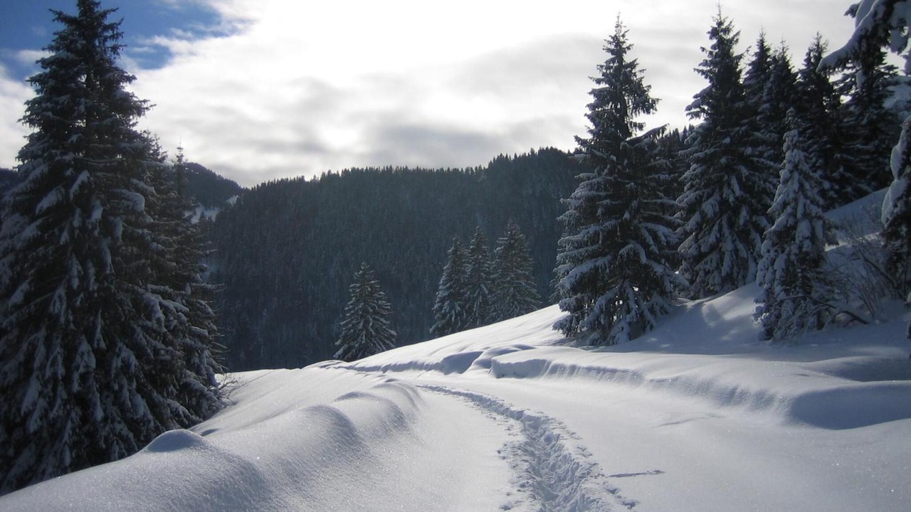 Photo of Others in Oberaudorf