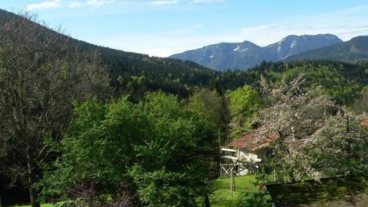 Photo of Outdoor in Siegsdorf