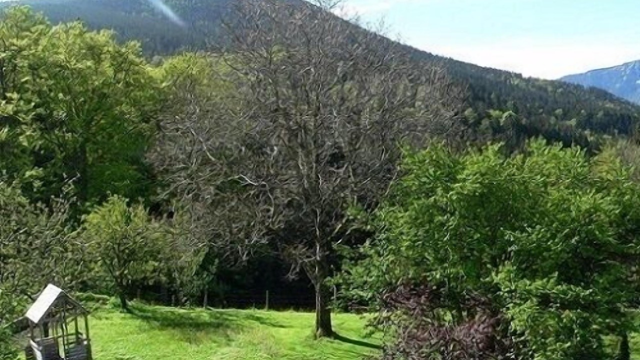Photo of Outdoor in Siegsdorf