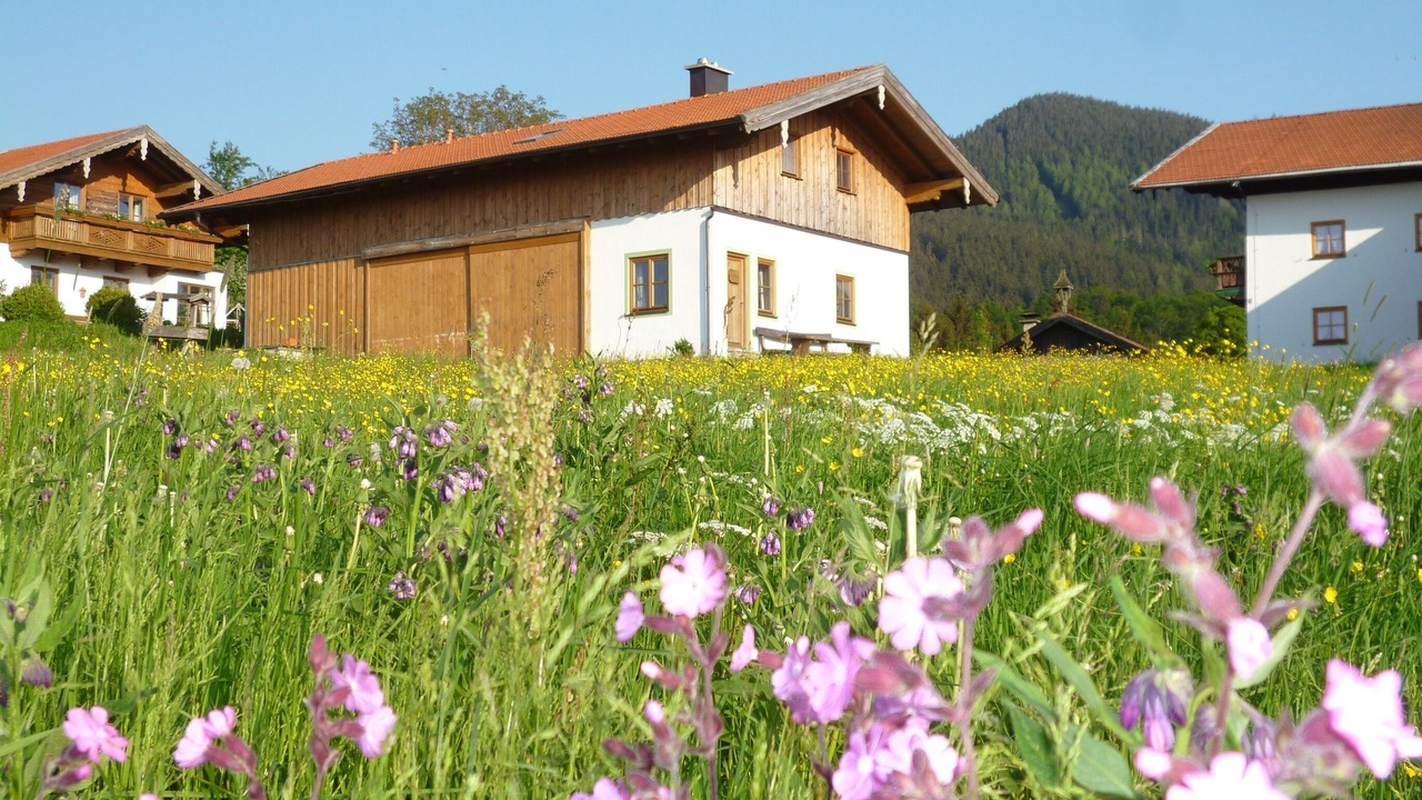 Photo of Outdoor in Siegsdorf