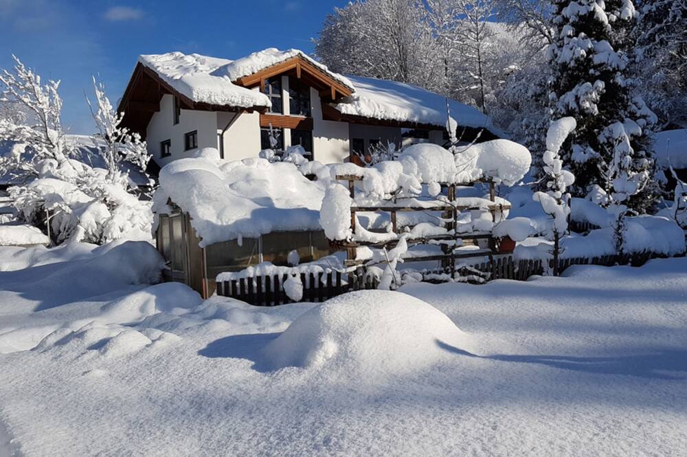Photo of Outdoor in Schwob