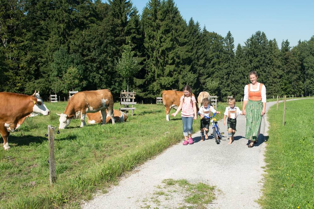Photo of Outdoor in Siegsdorf