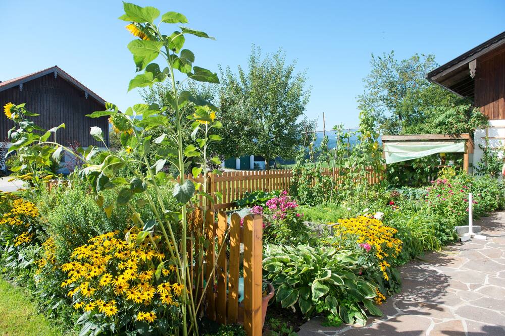 Photo of Outdoor in Siegsdorf
