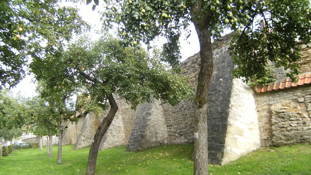 Photo of Outdoor in Iphofen