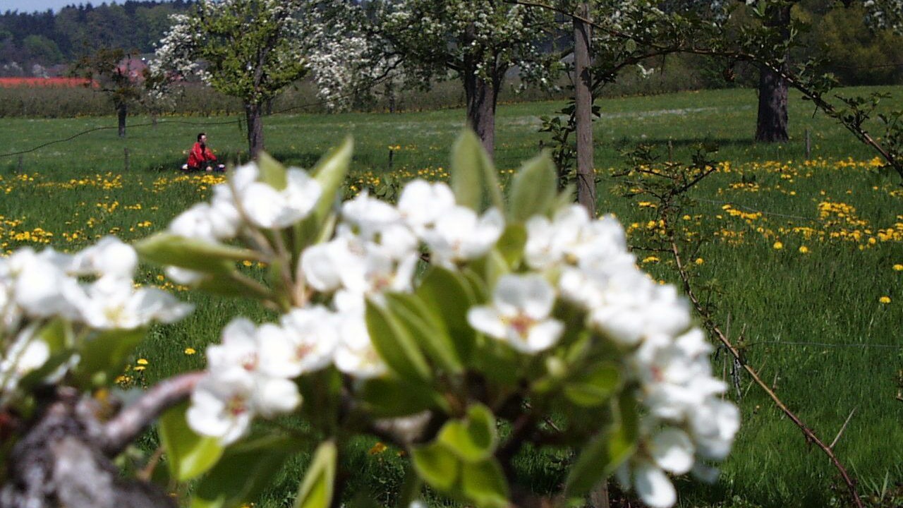 Photo of Outdoor in Wasserburg