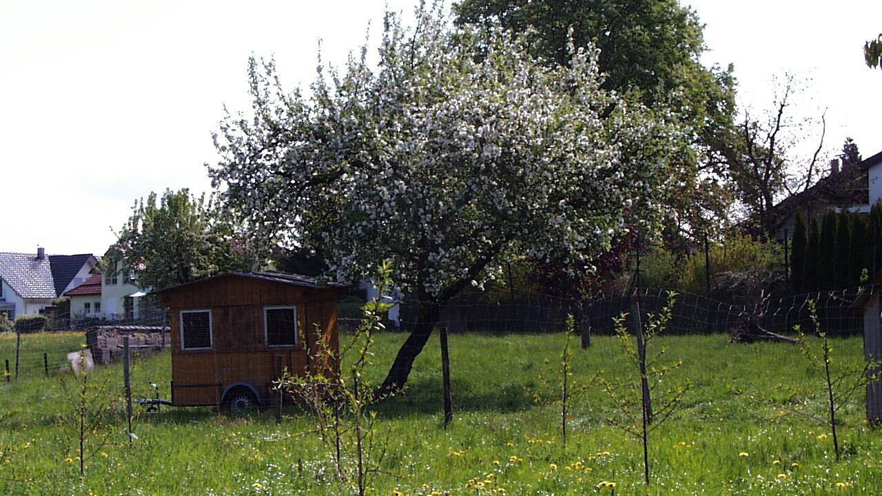 Photo of Outdoor in Wasserburg