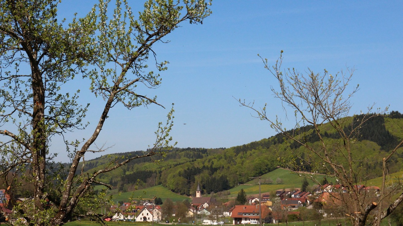 Photo of Others in Schuttertal