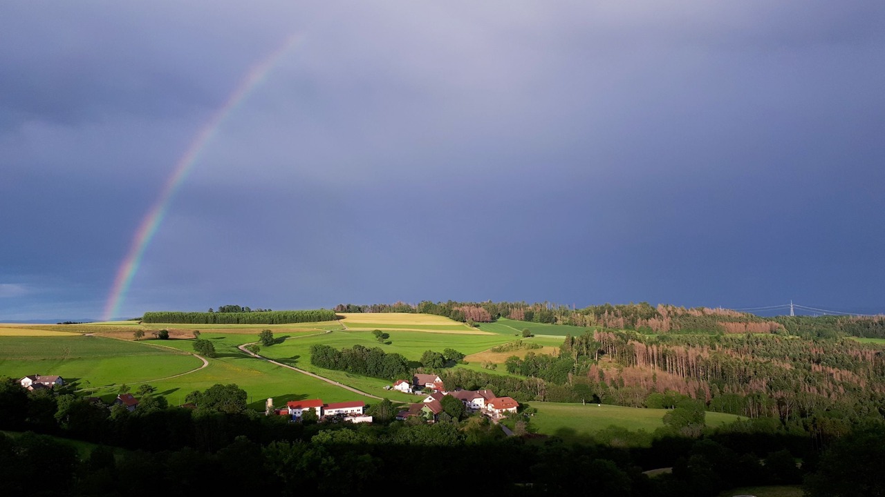 Photo of Others in Weilheim