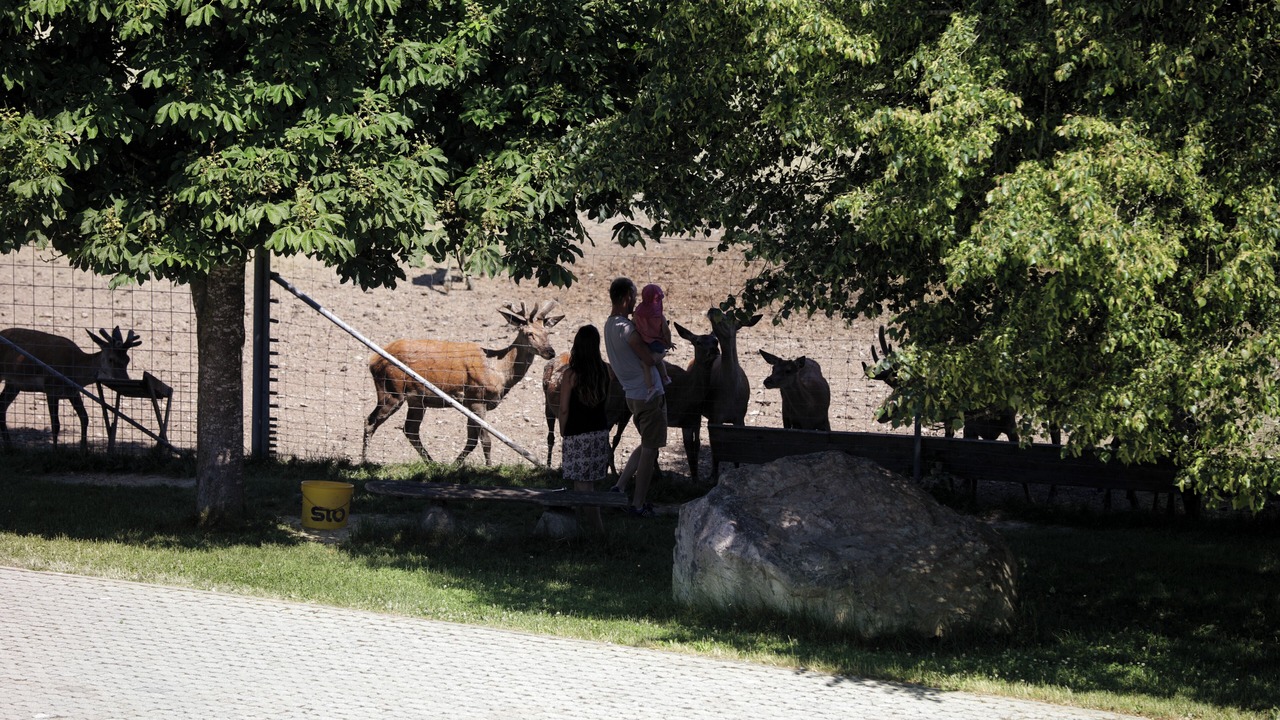 Photo of Outdoor in Ruderting
