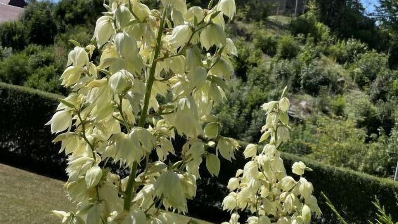 Photo of Outdoor in Schorndorf