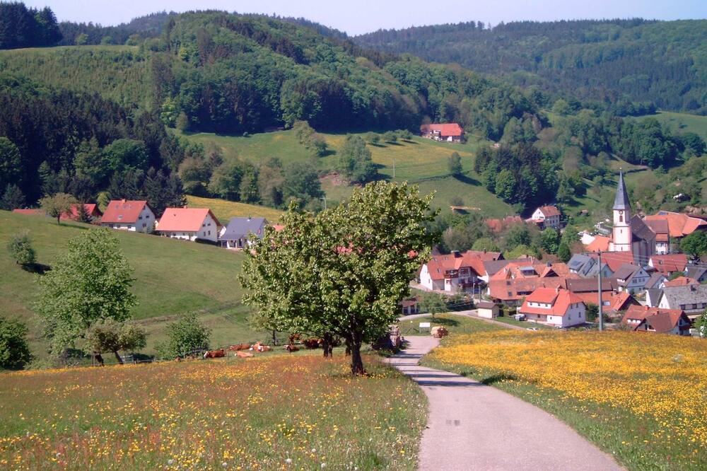 Photo of Outdoor in Schuttertal