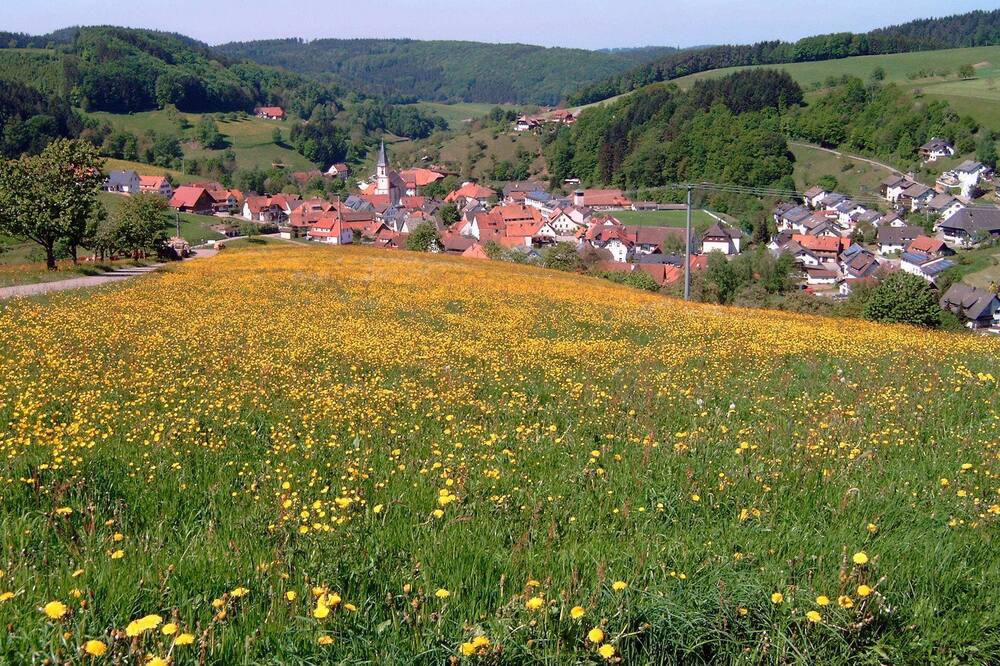 Photo of Others in Schuttertal