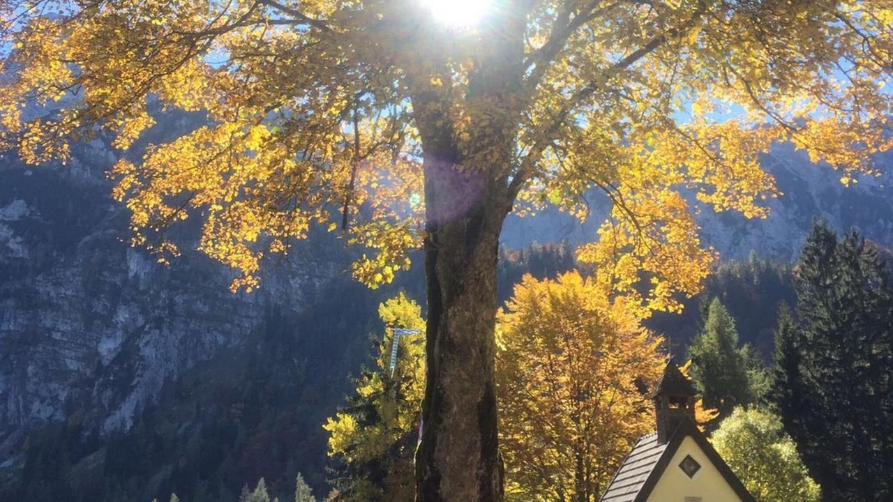 Photo of Outdoor in Pidingerau