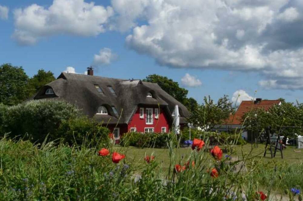 Photo of Outdoor in Alt Reddevitz