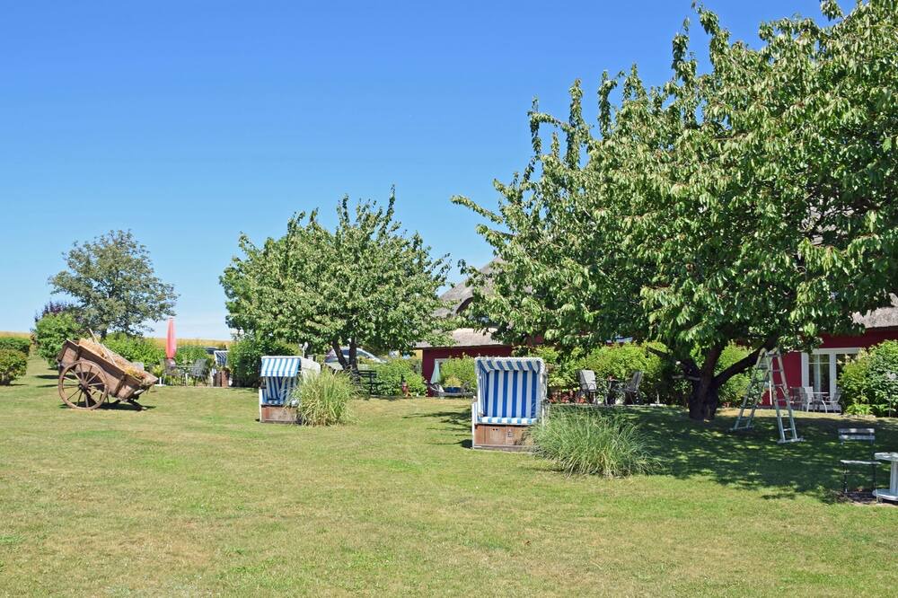 Photo of Outdoor in Alt Reddevitz