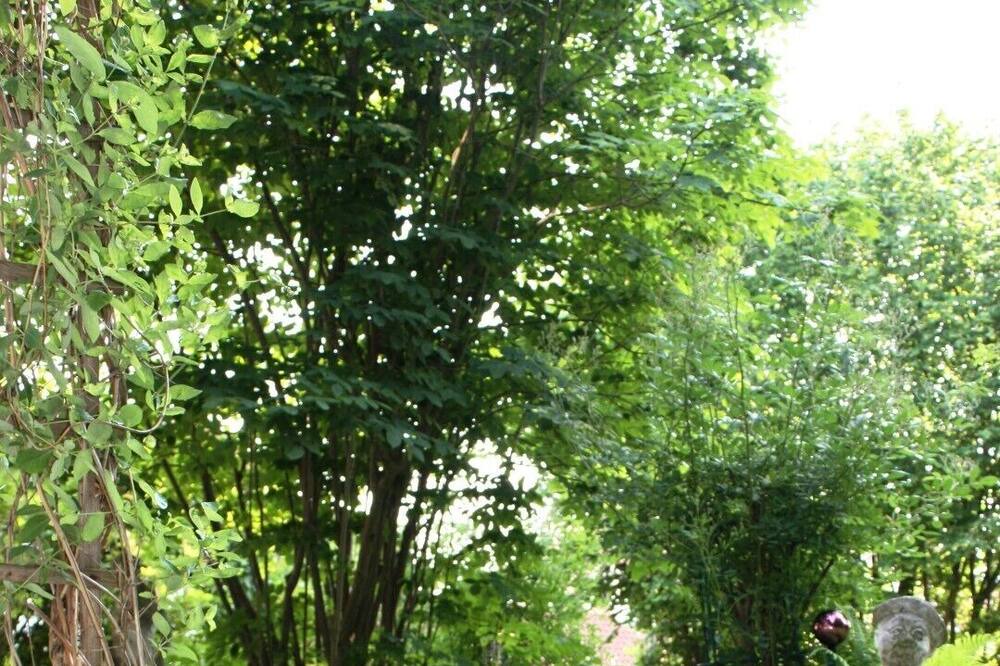 Photo of Outdoor in Riedering