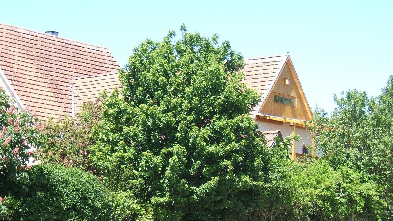 Photo of Outdoor in Dinkelsbuehl