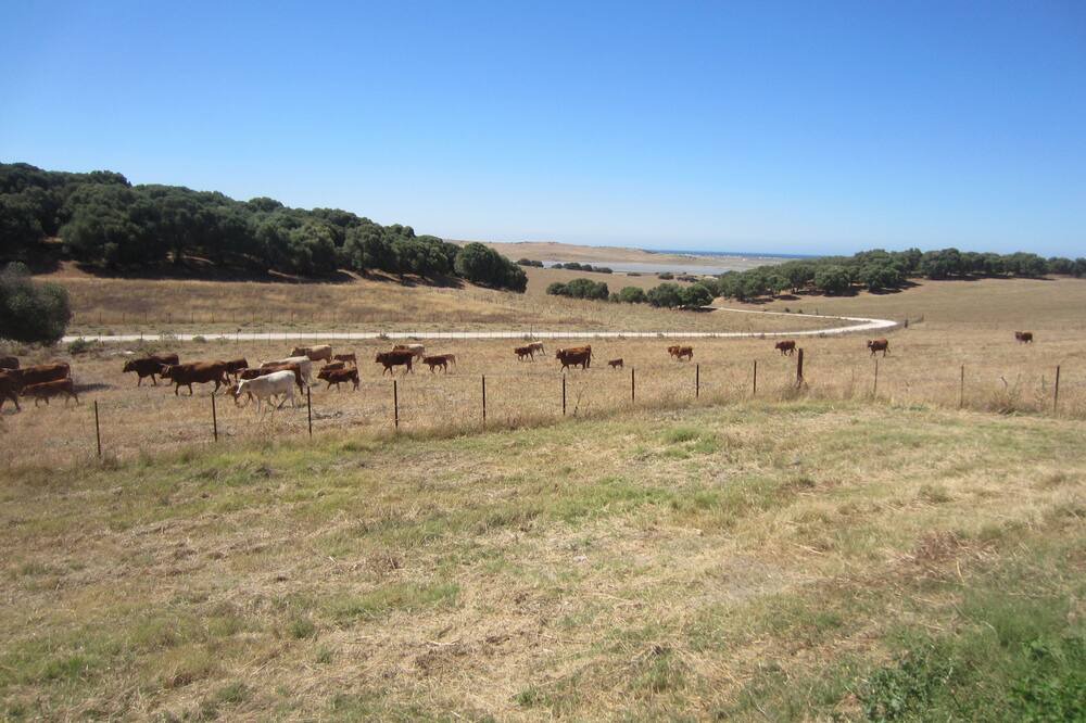 Photo of Outdoor in Manzanete