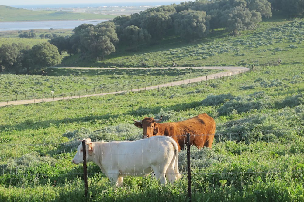 Photo of Outdoor in Manzanete