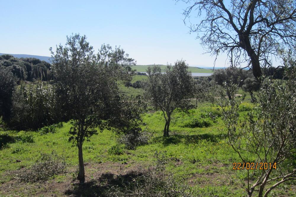 Photo of Outdoor in Manzanete