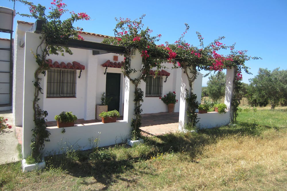Photo of Outdoor in Manzanete