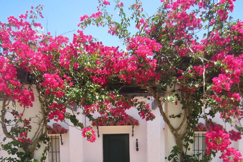 Photo of Outdoor in Manzanete