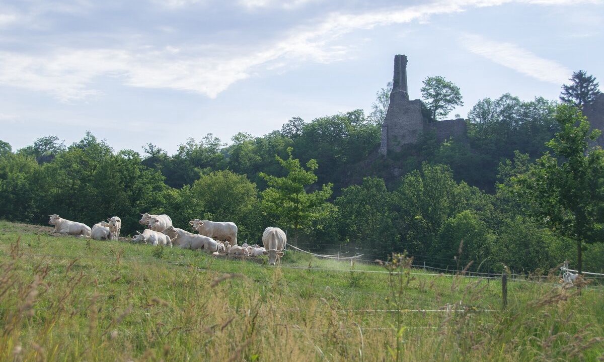 Photo of Outdoor in Passau