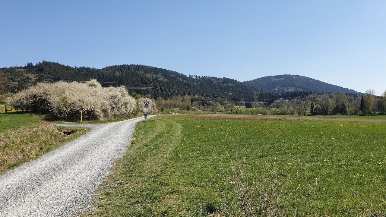 Photo of Outdoor in Marktrodach