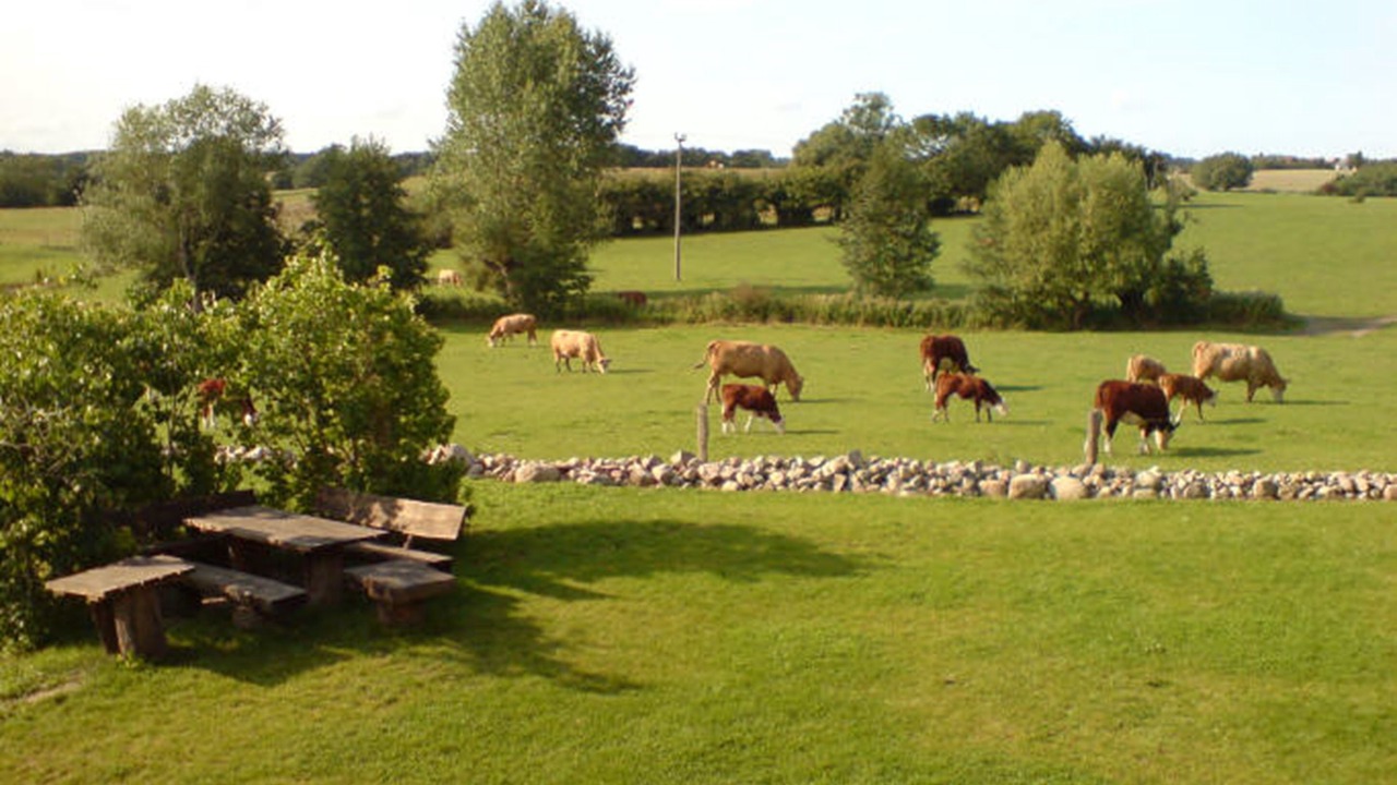 Photo of Outdoor in Welzin