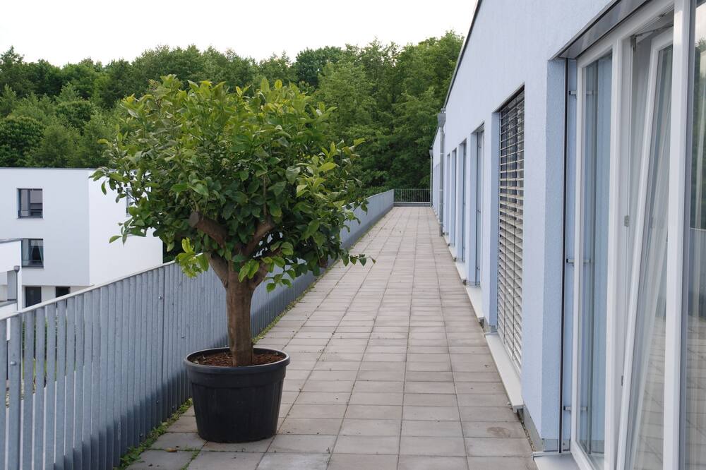Photo of Patio Balcony in Regensburg