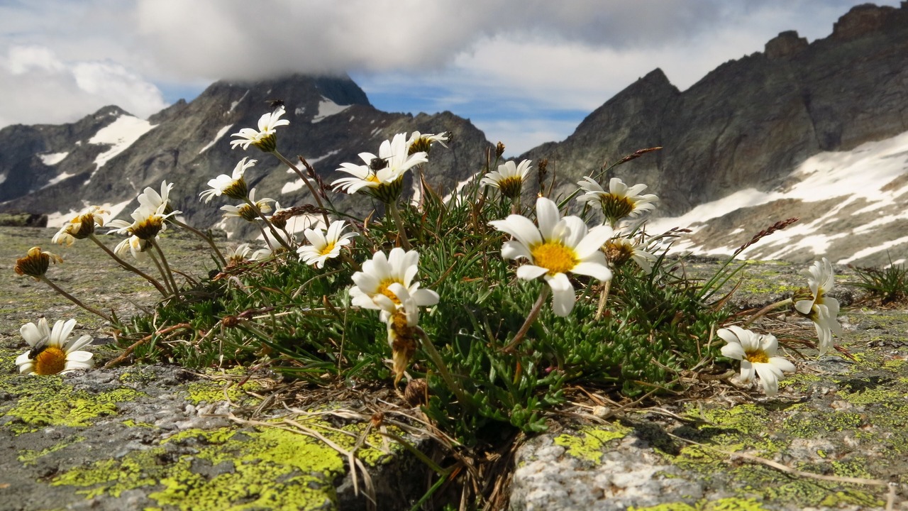 Photo of Outdoor in Gerlosbergeben